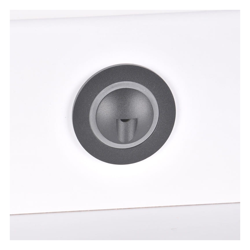 LED Āra kāpņutelpas gaismeklis Q2 LED/3W/230V IP44