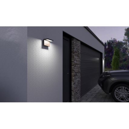 LED Āra sienas lampa ar sensoru NATURA LED/12W/230V 4000K IP54 brūna/antracīta