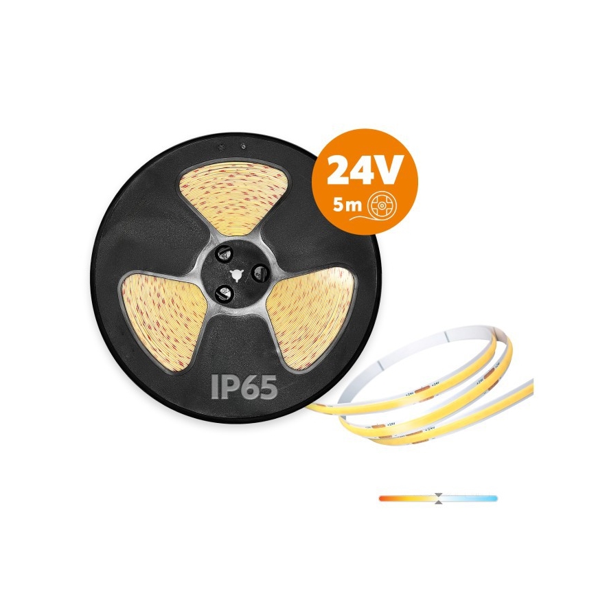 LED āra lente TRAMO LED/50W/24V 5m IP65 4000K