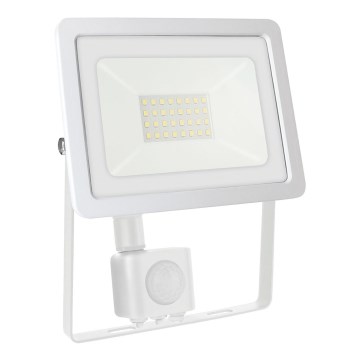 LED Āra prožektors ar sensoru NOCTIS LUX 2 LED/30W/230V 4000K IP44 balts