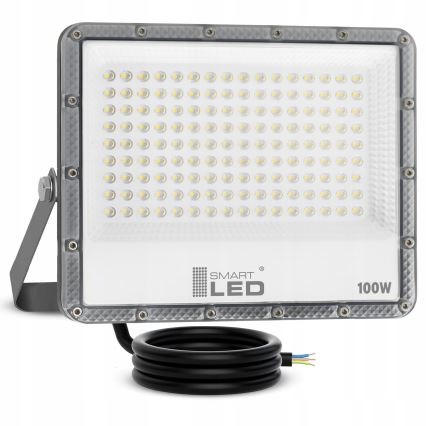 LED āra prožektors LED/100W/230V 4500K IP65 pelēks