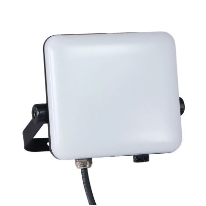 LED Āra prožektors MILKY LED/30W/230V 4000K IP65 melna