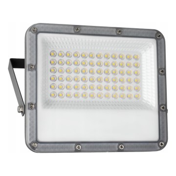 LED āra reflektors LED/50W/230V 4500K IP65 pelēks