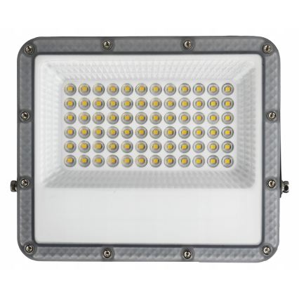 LED āra reflektors LED/50W/230V 4500K IP65 pelēks