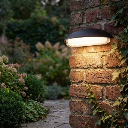 LED āra sienas gaismeklis ALABAMA LED/12W/230V IP54 melns