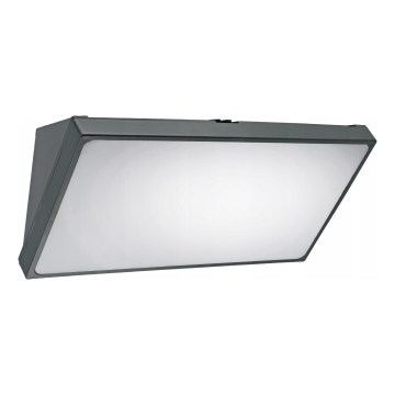 LED āra sienas gaismeklis ar kustības sensoru LED/20W/230V IP65 pelēks