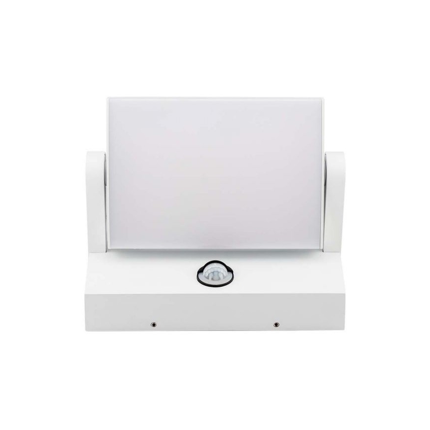 LED āra sienas gaismeklis ar sensoru, 17W, 230V, 4000K, IP65, balts