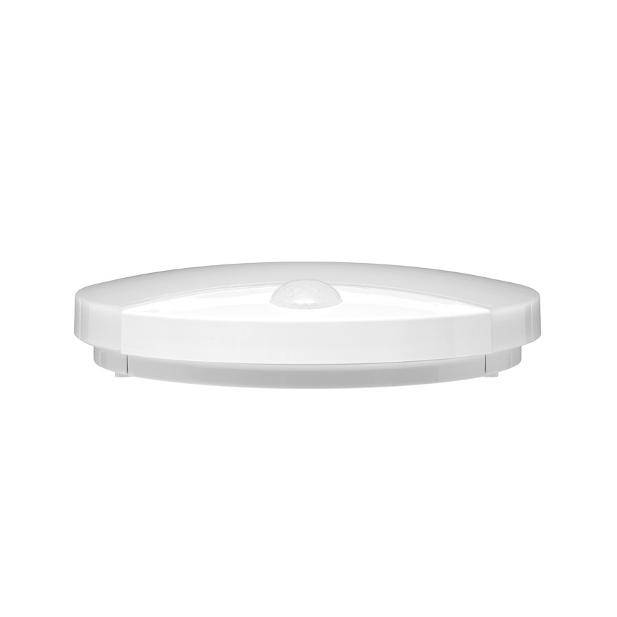 LED Āra sienas gaismeklis ar sensoru LORA LED/15W/230V IP44