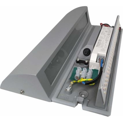 LED Āra sienas gaismeklis LED/10W/230V IP54