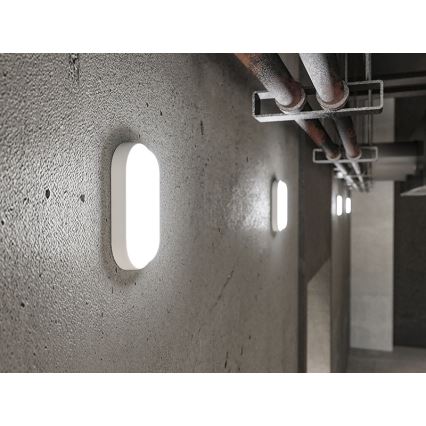 LED āra sienas gaismeklis LED/12W/230V IP54 balts