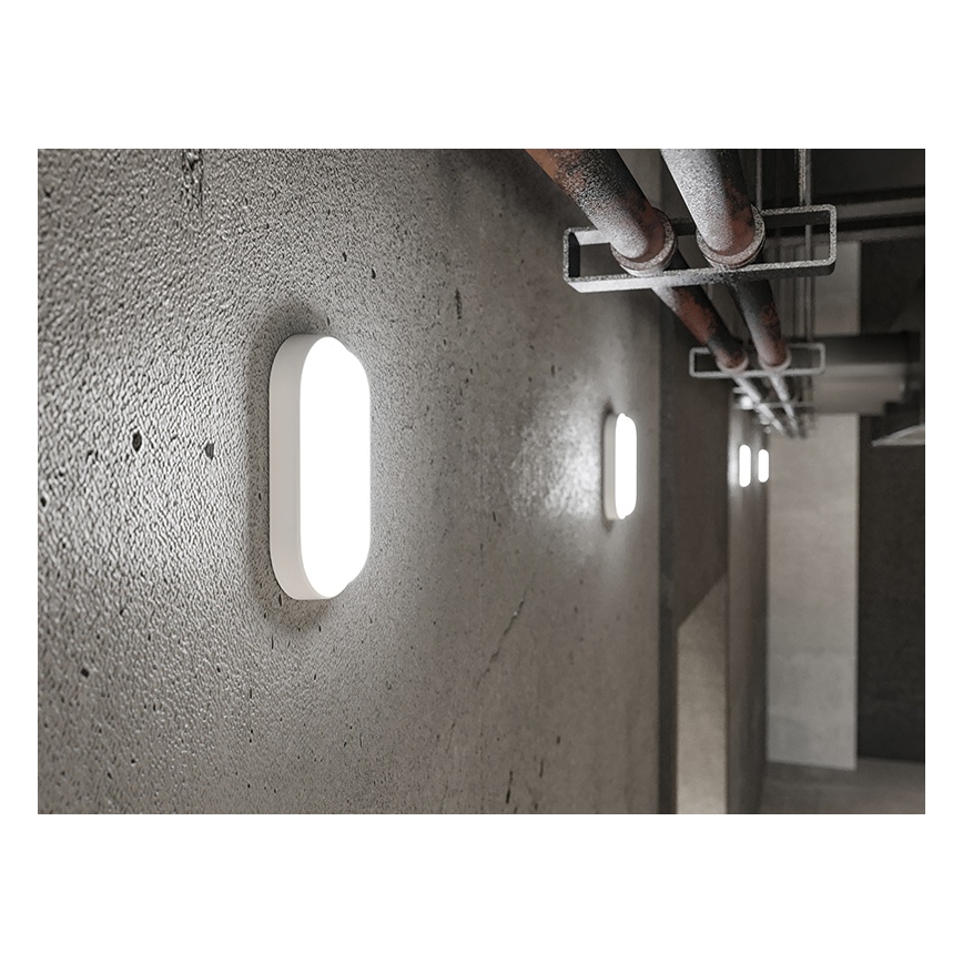 LED āra sienas gaismeklis LED/12W/230V IP54 balts