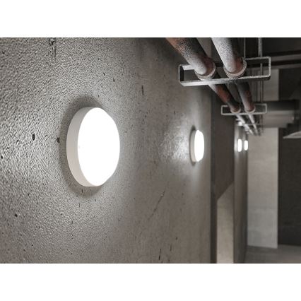 LED āra sienas gaismeklis LED/9W/230V IP54 balts