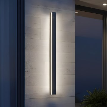 LED āra sienas gaismeklis MIRANA LED/25W/230V 4000K IP44 120 cm melns