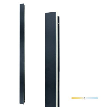 LED āra sienas gaismeklis MIRANA LED/25W/230V 4000K IP44 120 cm melns