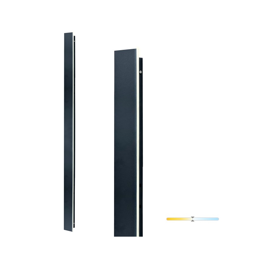 LED āra sienas gaismeklis MIRANA LED/25W/230V 4000K IP44 120 cm melns