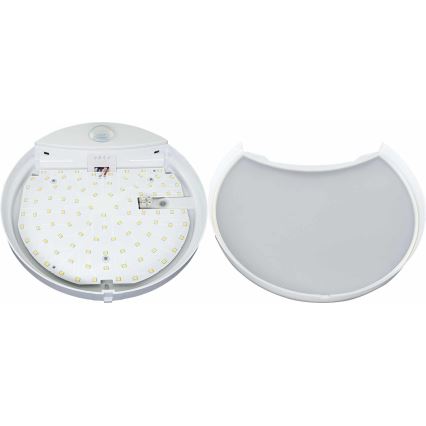 LED Āra sienas lampa ar sensoru HIBIS LED/15W/230V IP44