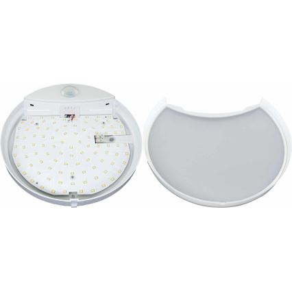 LED Āra sienas lampa ar sensoru HIBIS LED/15W/230V IP44