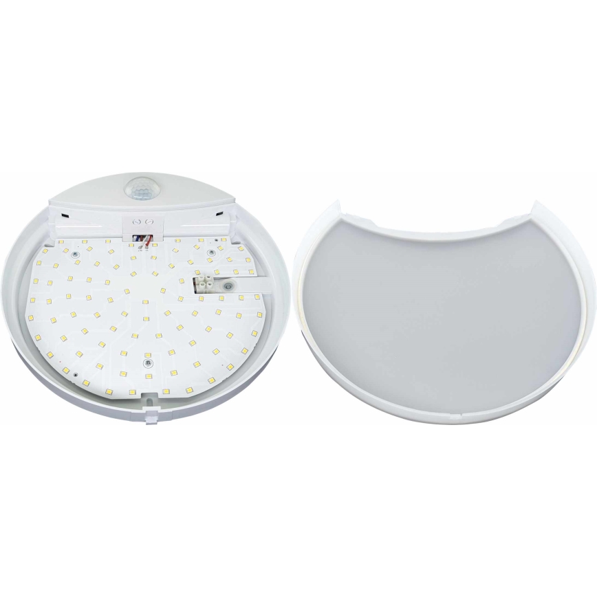 LED Āra sienas lampa ar sensoru HIBIS LED/15W/230V IP44