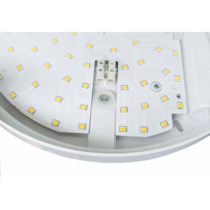 LED Āra sienas lampa ar sensoru HIBIS LED/15W/230V IP44