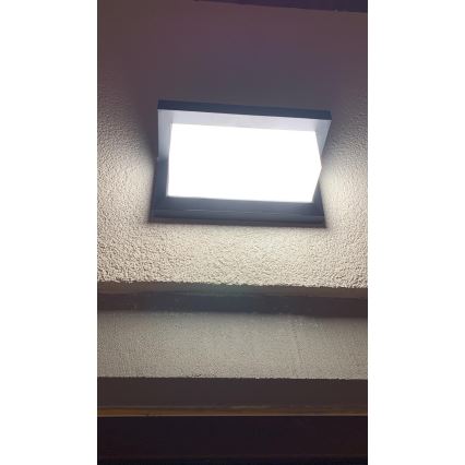 LED Āra sienas lampa ar sensoru LED/12W/230V IP54 melna