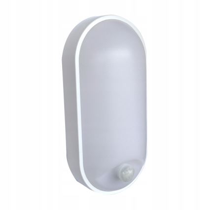 LED Āra sienas lampa ar sensoru LED/15W/230V 4000K IP65