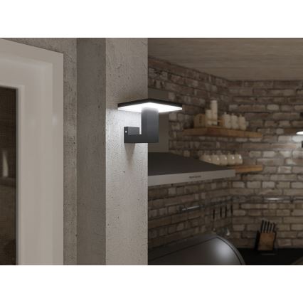 LED Āra sienas lampa BARI LED/10W/230V 4000K IP54 antracīta