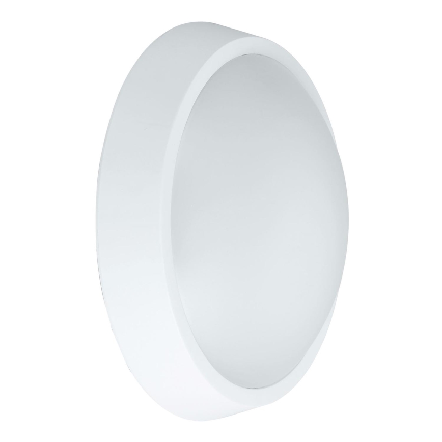 LED Āra sienas lampa BULKHEAD LED/30W/230V 4000K IP54 balta