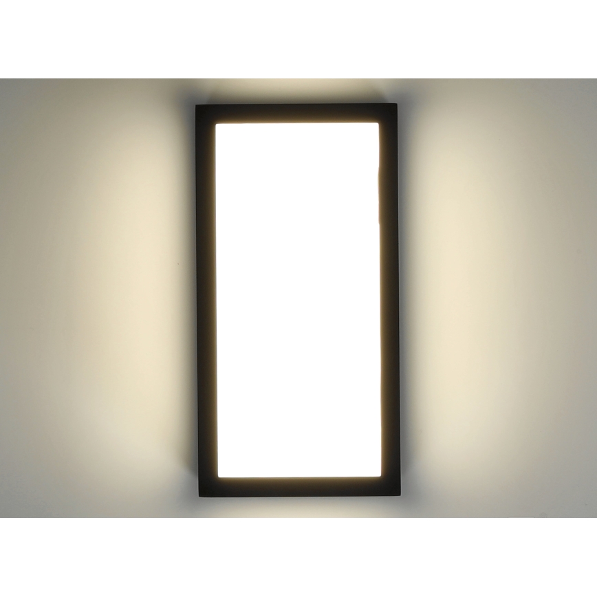 LED Āra sienas lampa ENTERA LED/10W/230V 4000K IP54