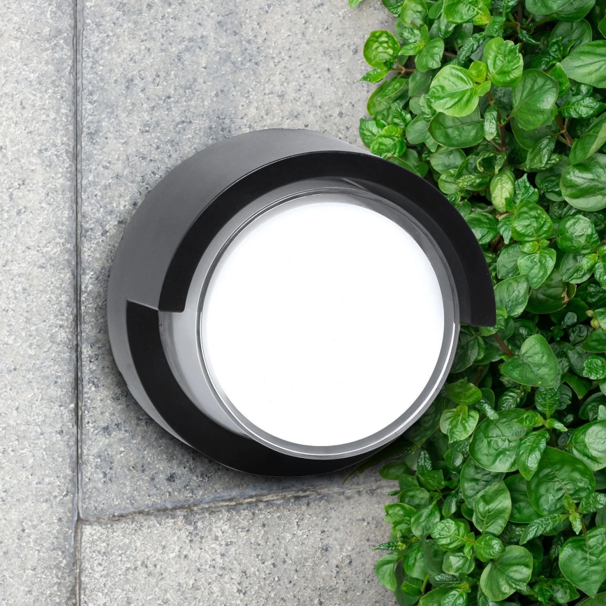 LED Āra sienas lampa ESSEN LED/10W/230V IP44 melna