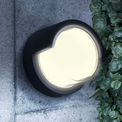 LED Āra sienas lampa ESSEN LED/10W/230V IP44 melna
