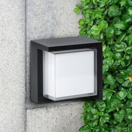 LED Āra sienas lampa ESSEN LED/12W/230V IP44 melna