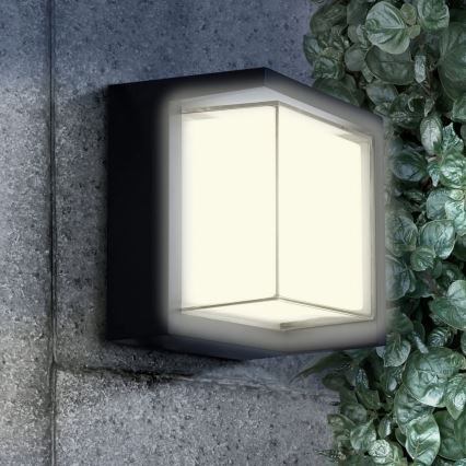 LED Āra sienas lampa ESSEN LED/12W/230V IP44 melna