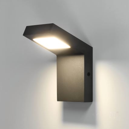LED Āra sienas lampa INDUO K LED/10W/230V 4000K IP54