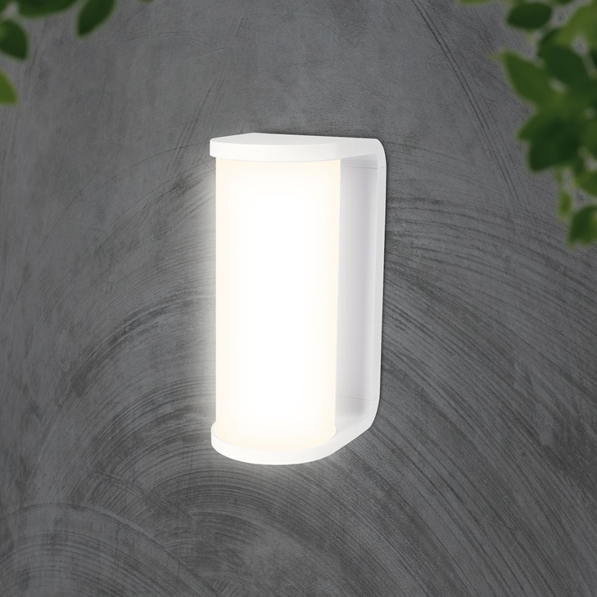 LED Āra sienas lampa LED/12W/230V 3000/4200/6500K IP65 balta