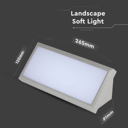 LED Āra sienas lampa LED/12W/230V 6400K IP65 pelēka