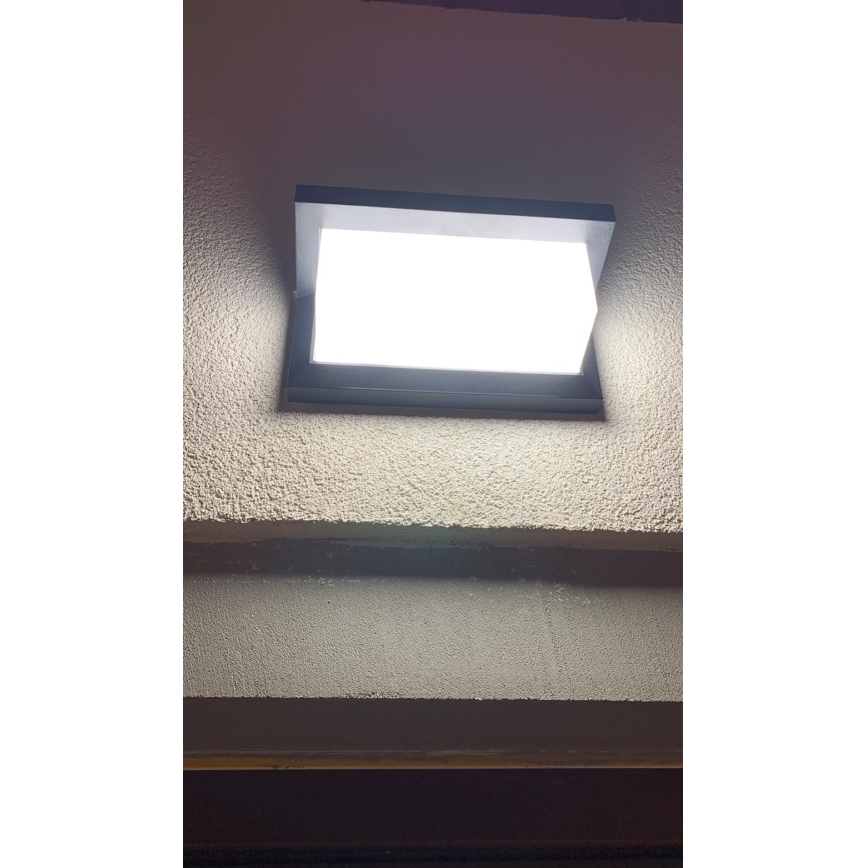 LED Āra sienas lampa LED/12W/230V IP54 melna