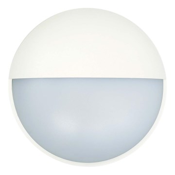 LED Āra sienas lampa LED/14W/230V IP54 balta