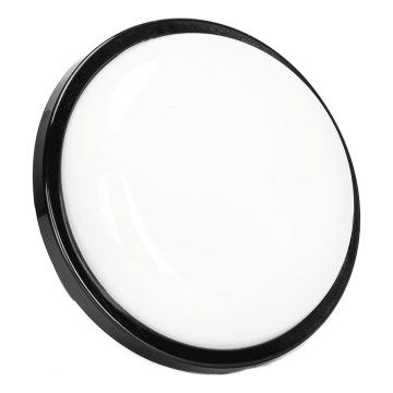 LED Āra sienas lampa LED/15W/230V 6500K d. 15,5 cm melna IP65