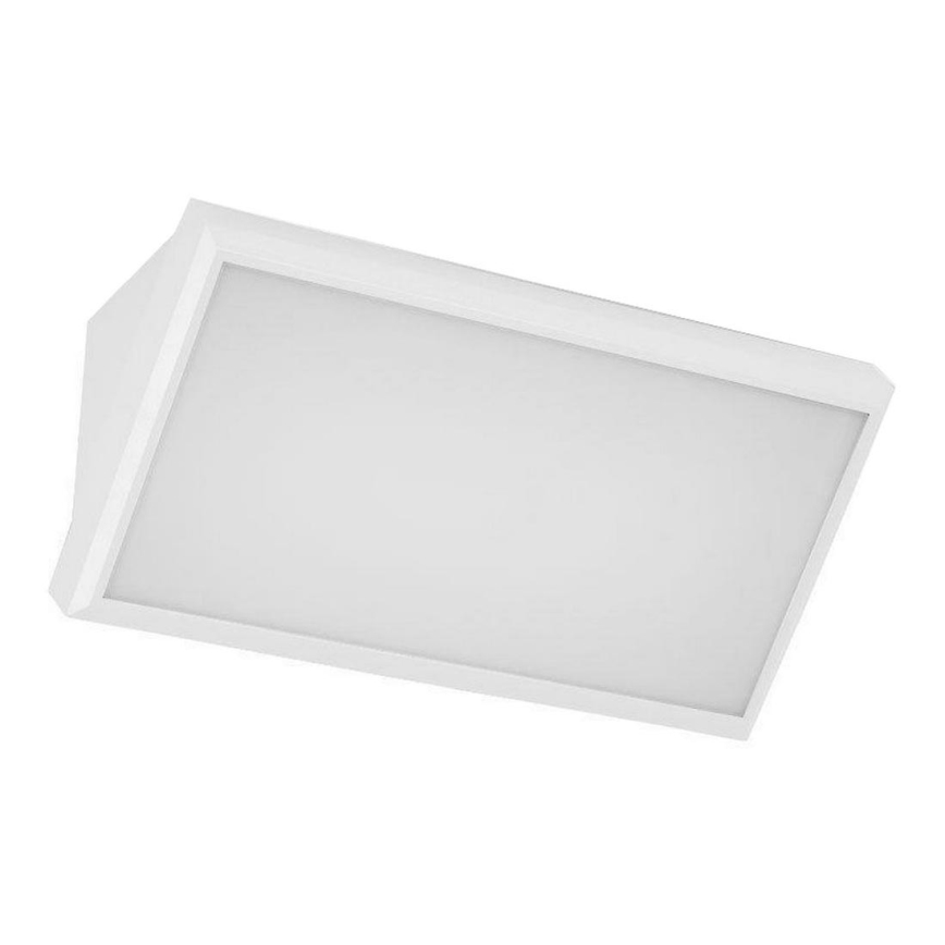 LED Āra sienas lampa LED/20W/230V 4000K IP65 balta