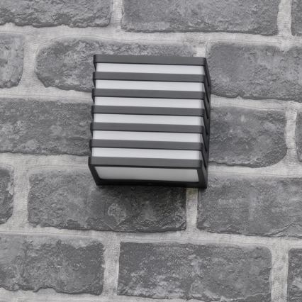 LED Āra sienas lampa MAXWELL LED/10W/230V IP54 antracīts