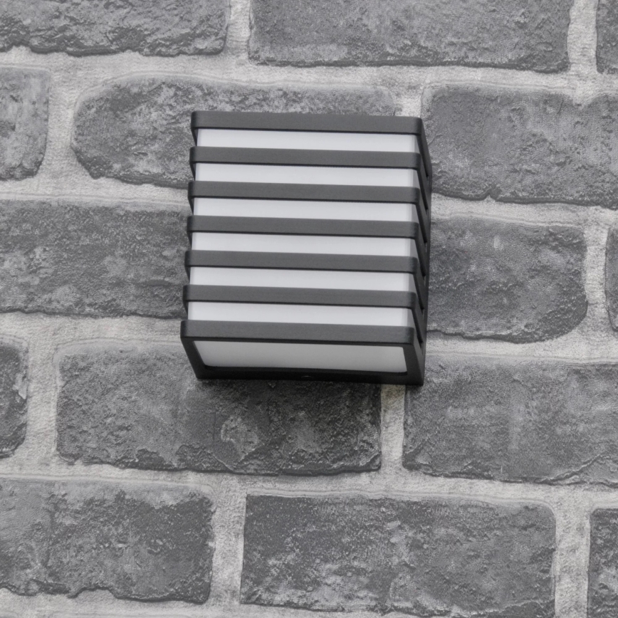 LED Āra sienas lampa MAXWELL LED/10W/230V IP54 antracīts