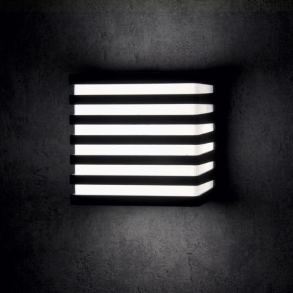 LED Āra sienas lampa MAXWELL LED/10W/230V IP54 antracīts