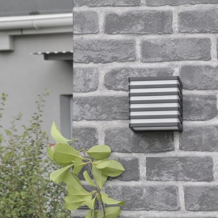 LED Āra sienas lampa MAXWELL LED/10W/230V IP54 antracīts