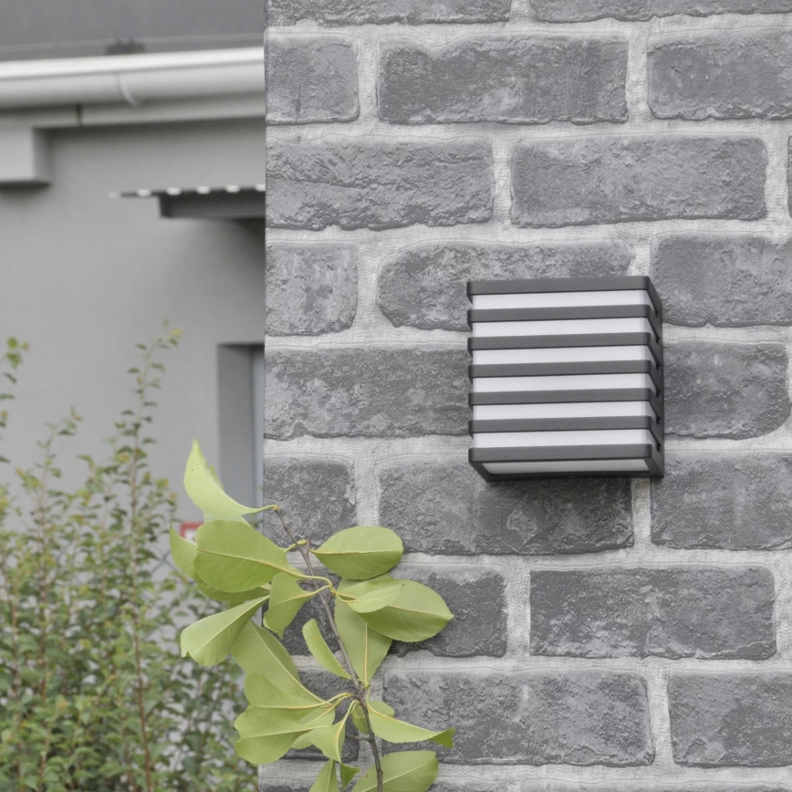 LED Āra sienas lampa MAXWELL LED/10W/230V IP54 antracīts