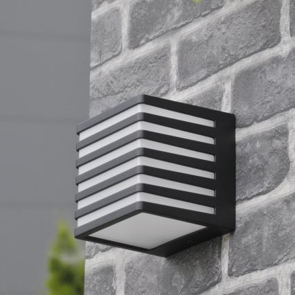 LED Āra sienas lampa MAXWELL LED/10W/230V IP54 grafīta