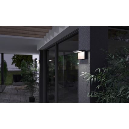 LED Āra sienas lampa NATURA LED/12W/230V 4000K IP65 brūna/antracīta