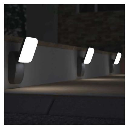 LED Āra sienas lampa NIKA LED/12,5W/230V IP44