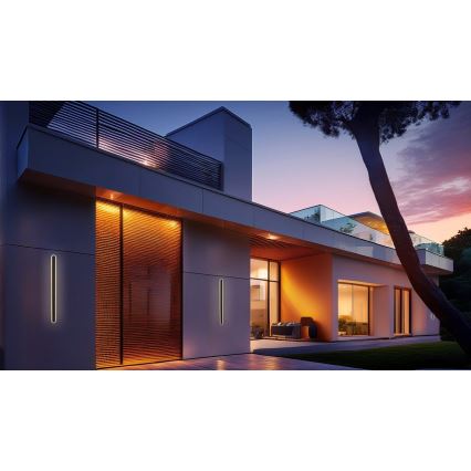 LED Āra sienas lampa STICK LED/12W/230V IP65 3000K 60 cm