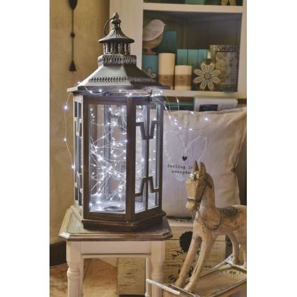 LED āra virtene 100xLED/15m IP44 auksti balta