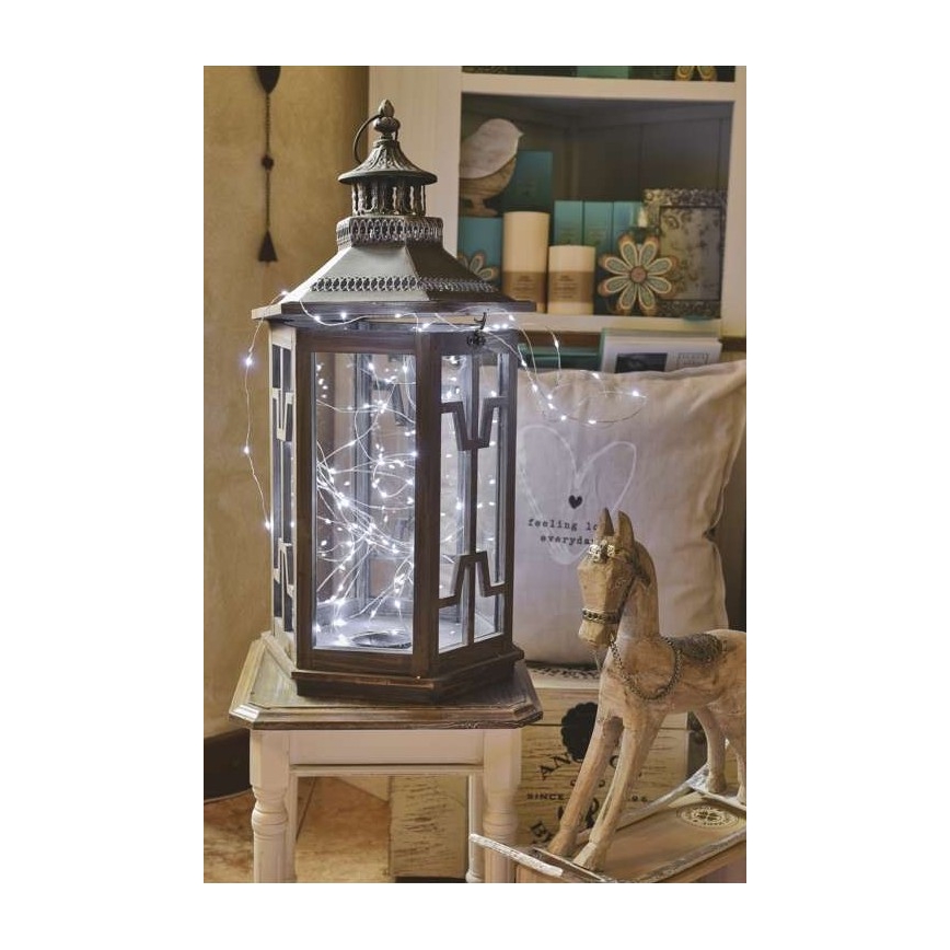 LED āra virtene 100xLED/15m IP44 auksti balta